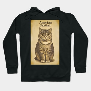 American Shorthair Cat Vintage Wall Art Hoodie